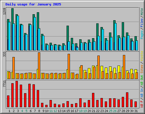 Daily usage for January 2025