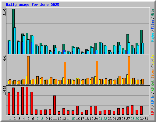 Daily usage for June 2025