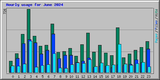 Hourly usage for June 2024