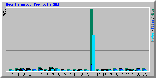 Hourly usage for July 2024