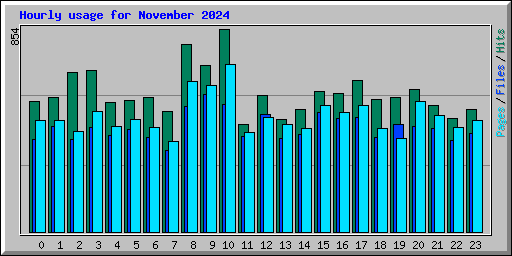 Hourly usage for November 2024