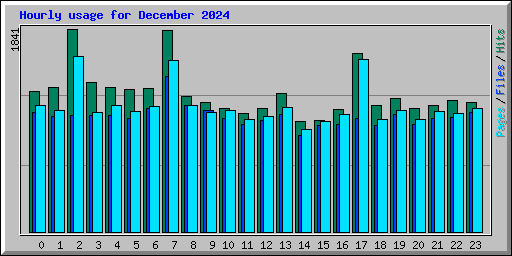 Hourly usage for December 2024