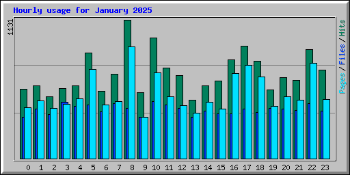 Hourly usage for January 2025