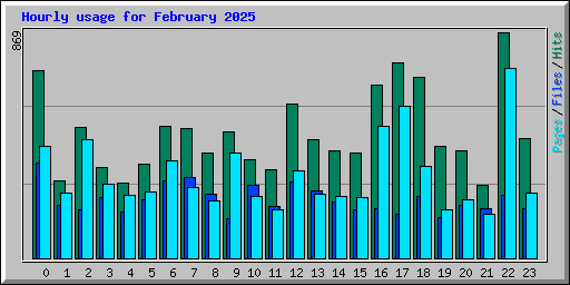 Hourly usage for February 2025