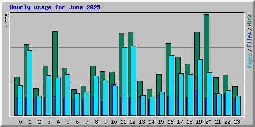 Hourly usage for June 2025