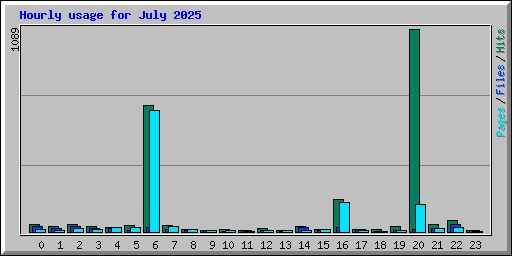 Hourly usage for July 2025