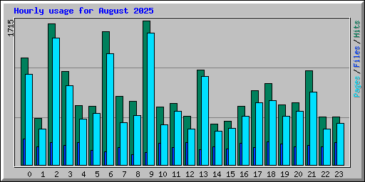 Hourly usage for August 2025