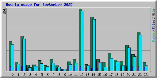 Hourly usage for September 2025