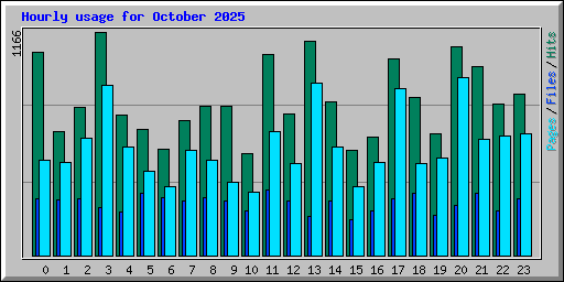 Hourly usage for October 2025