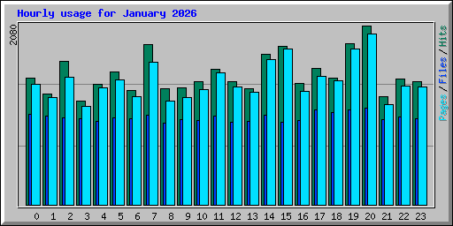 Hourly usage for January 2026