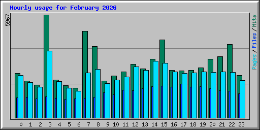 Hourly usage for February 2026