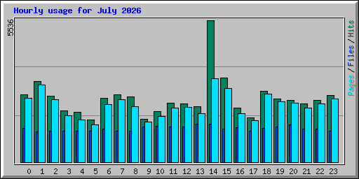 Hourly usage for July 2026