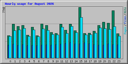 Hourly usage for August 2026