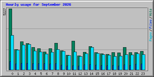 Hourly usage for September 2026
