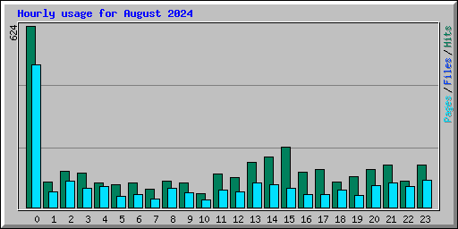 Hourly usage for August 2024