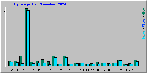 Hourly usage for November 2024