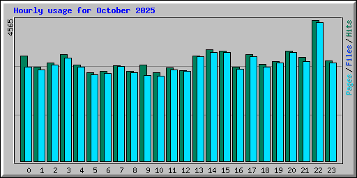 Hourly usage for October 2025
