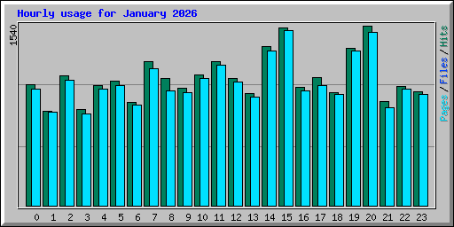 Hourly usage for January 2026