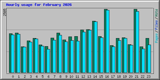 Hourly usage for February 2026
